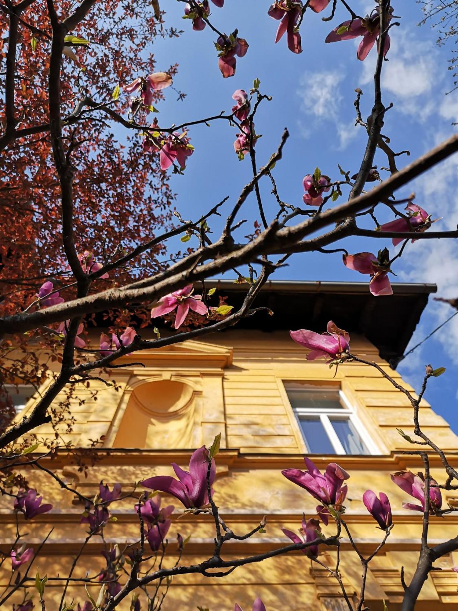 The Villa, Ljubljana City Center Dış mekan fotoğraf