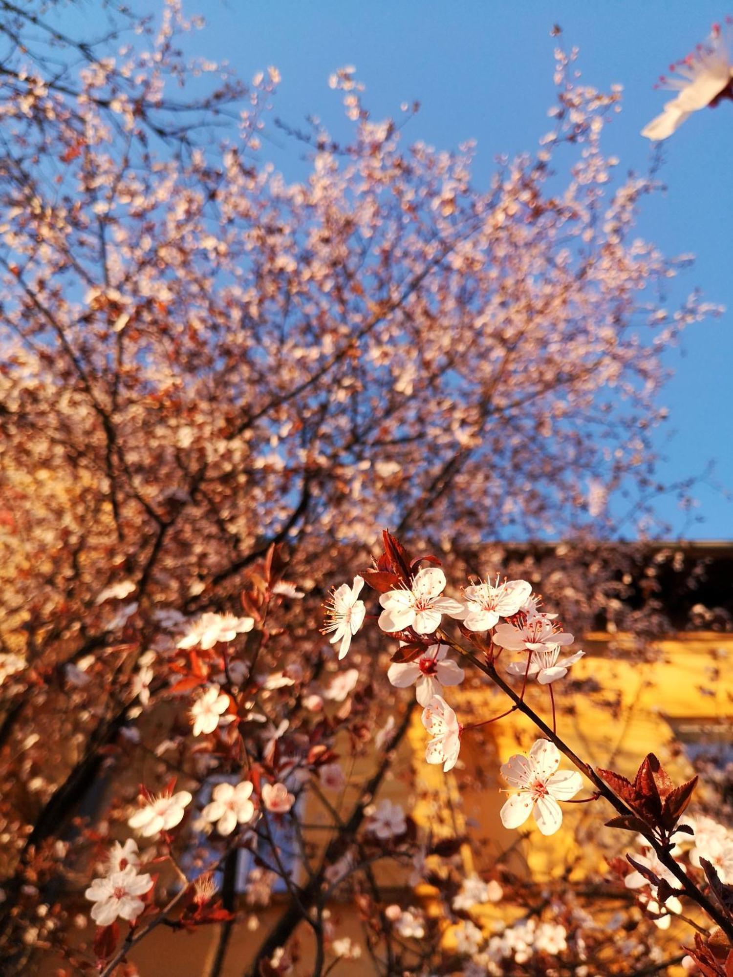 The Villa, Ljubljana City Center Dış mekan fotoğraf