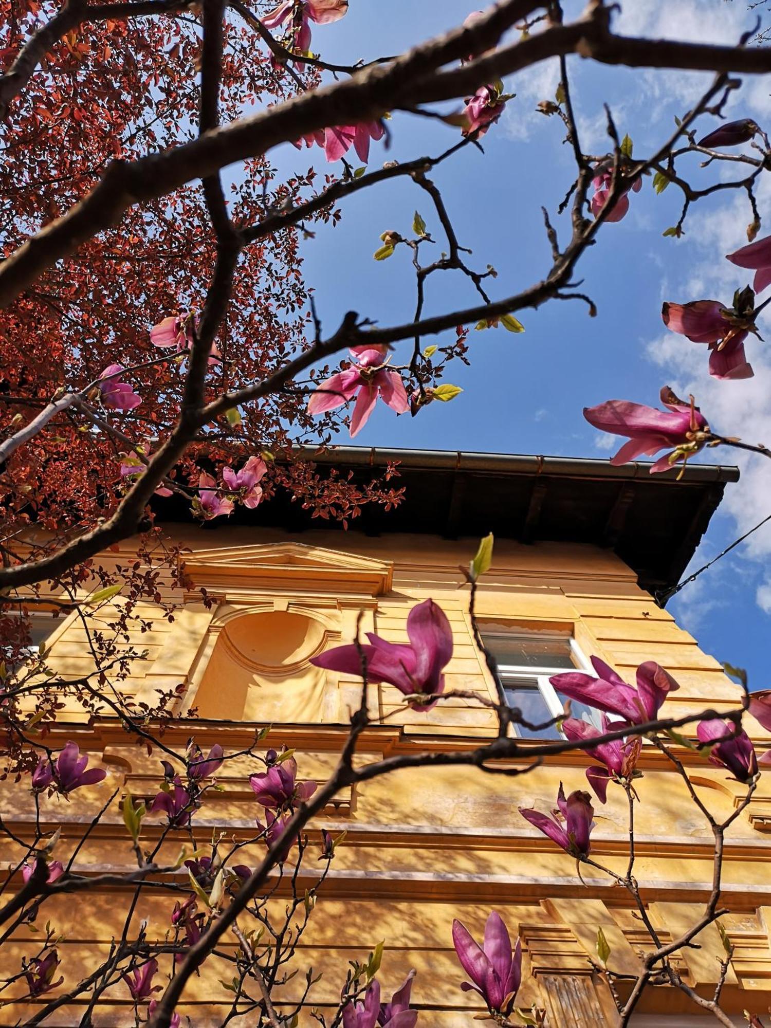 The Villa, Ljubljana City Center Dış mekan fotoğraf